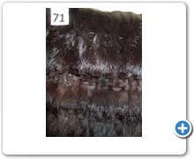 collection 13 Traforazione scolpita 71